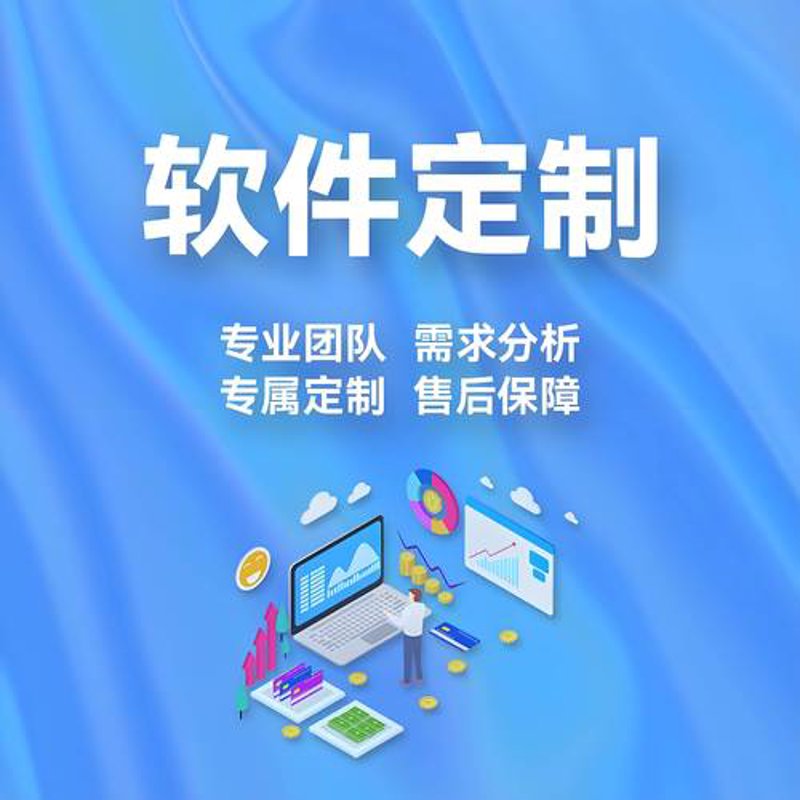 小程序定制开发：解锁商家数字化转型新引擎
